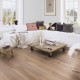 Fallen Oak Plank Engineered Wood Flooring 20mm x 220mm Natural Oiled