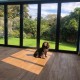 Bronx Oak Engineered Wood Flooring 14mm x 190mm Antique Distressed Oiled