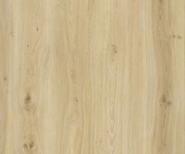 Pearl Oak Waterproof SPC  Luxury Vinyl Flooring 5.5 x 181mm