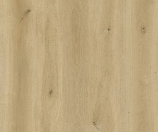 Natural Autumn Oak SPC Waterproof Luxury Click Vinyl Flooring 5.5 x 181mm