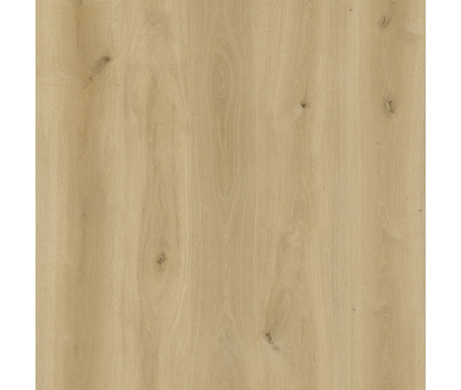 Natural Autumn Oak SPC Waterproof Luxury Click Vinyl Flooring 5.5 x 181mm