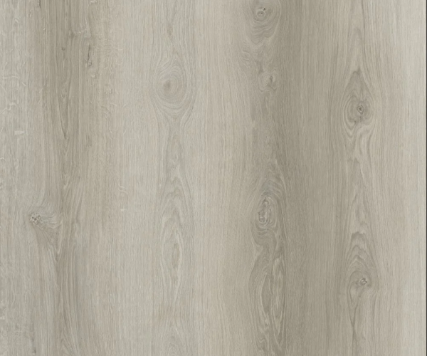 Light Grey Oak SPC Waterproof Luxury Click Vinyl Flooring 5.5 x 181mm