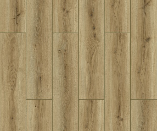Trent Oak 8mm Laminate Flooring