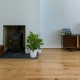 Supreme Golden Oak Classic Engineered Wood Flooring 14mm x 190m UV Lacquered