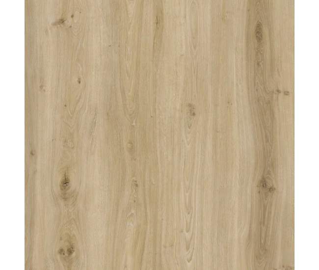 Beach House Wide Oak SPC Waterproof Luxury Click Vinyl Flooring 6.5mm